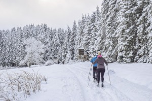 cross-country-skiing-5908416_1280